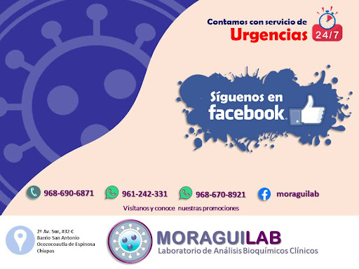 Moraguilab - Visual