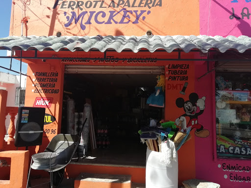 Ferrocons Mickey - Visual