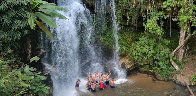 Bamboo elephant family care