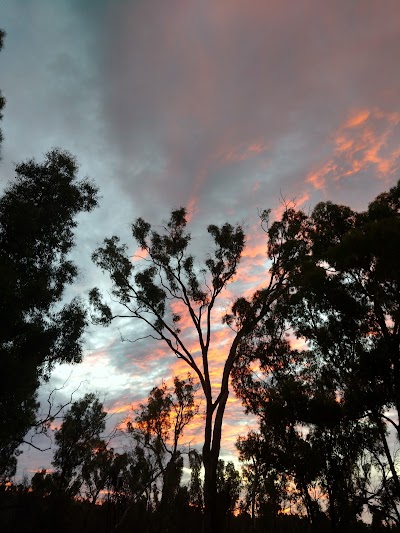 Photos of Stapylton Campground
