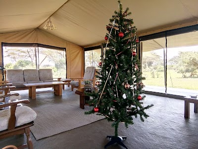 Photos of Porini Cheetah Camp