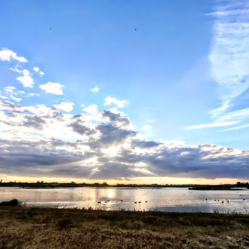 East Hide - Visual