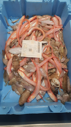 Peixateria Montse - Spain