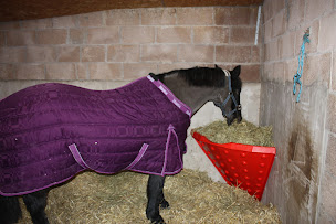 Photo n°21 de A Cheval à La Trinite (Magasin d'articles de sports)