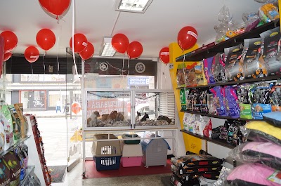 Photos of Nutibara Bulldogs