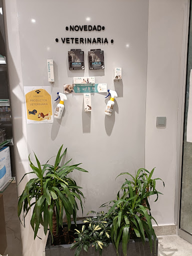 Farmacia Rocio M. Martín Valle - Thumbnail