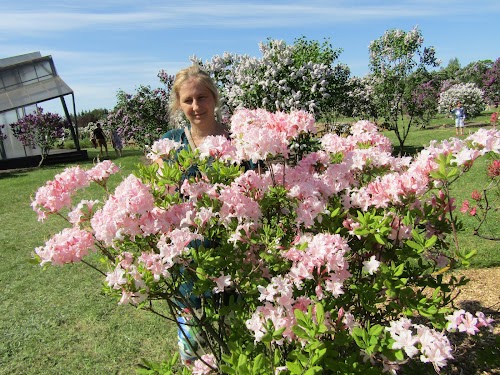 Ievērojamu vietu apskate