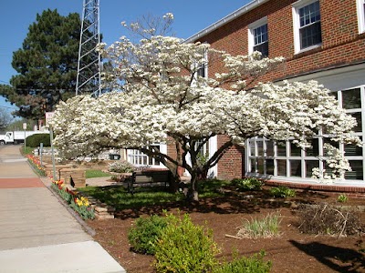 Brentwood Public Library