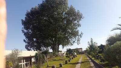 Photos of مسجد اسامه بن زيد