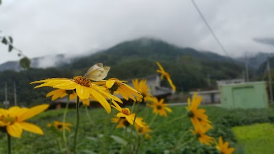 Photos of 지리산둘레길함양센터