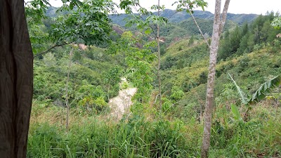 Photos of Lintas Panorama Aripan-paninjauan