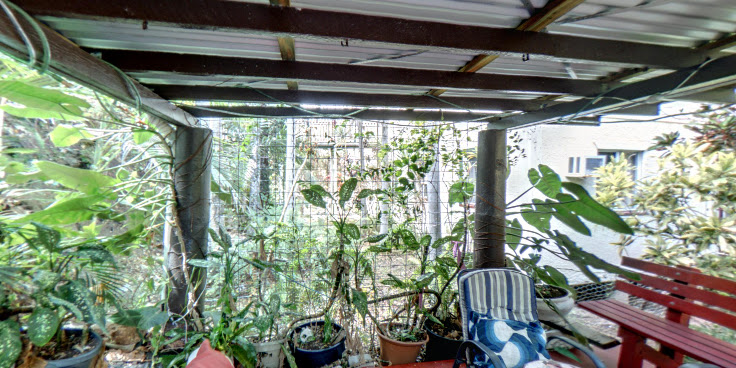 Orchid Guest House by null
