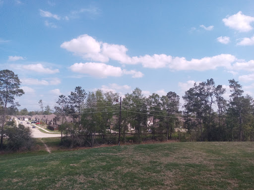 Mt Groves - Visual