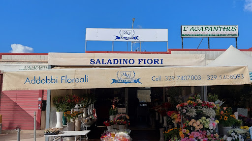 Saladino Fiori