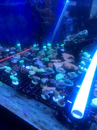 Capital Aquarium