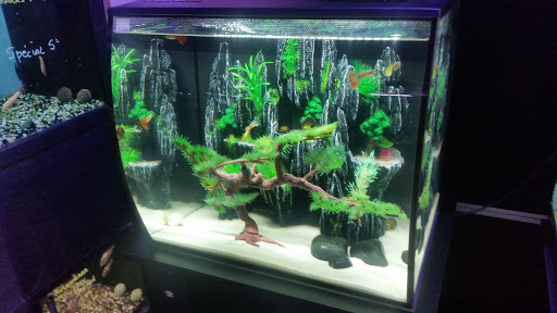 Aquariums Reefsolution - Thumbnail