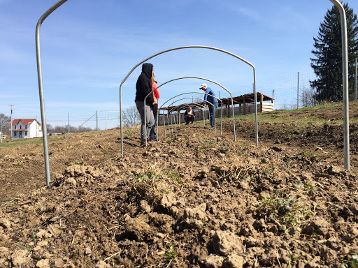 The Agroecology Demonstration Garden - Thumbnail