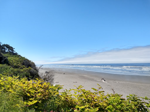 Kalaloch Beach 3 - Thumbnail