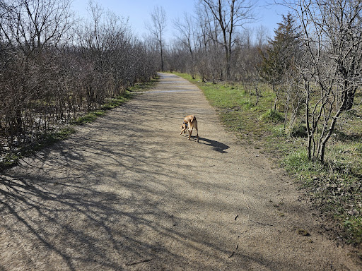 Prairie Wolf Slough County Forest Preserve - Thumbnail