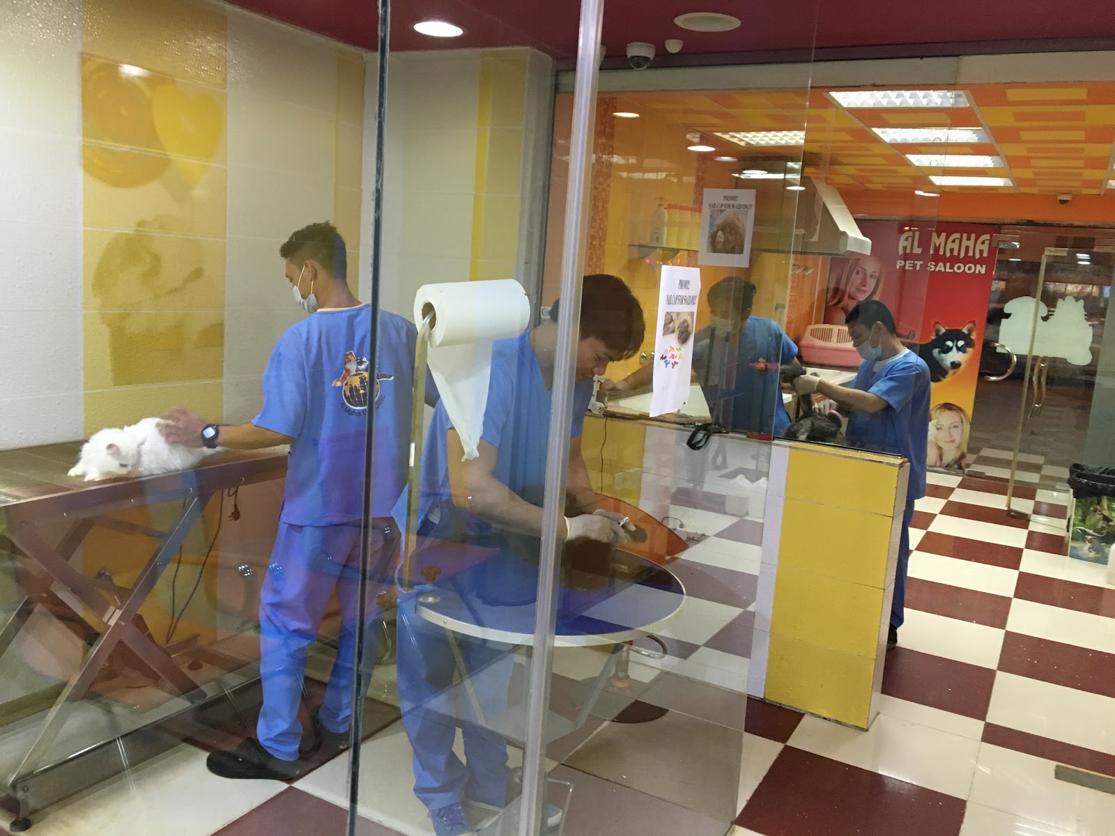 عيادة المها البيطرية - صورة 2