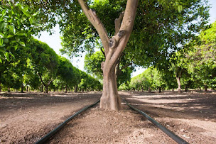 Photo n°3 de Soverdi à Verdun-sur-Garonne (Fournisseur d'équipement d'irrigation)