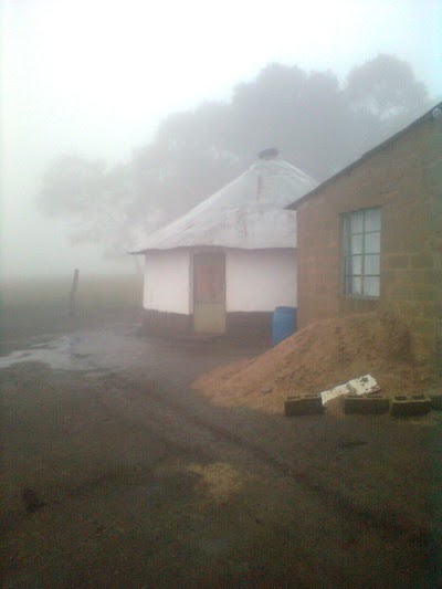 Photos of Hlokozi High School