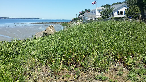 Nahant Associates Inc - Thumbnail