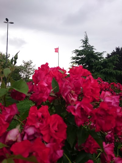 Photos of K&uuml;&ccedil;&uuml;k&ccedil;ekmece G&ouml;l&uuml;