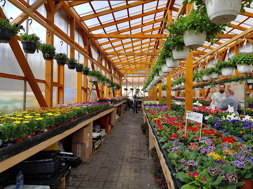 SunMarkt