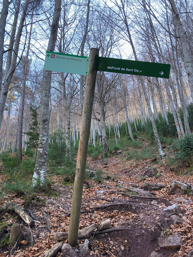 Forat de Sant Ou - Thumbnail