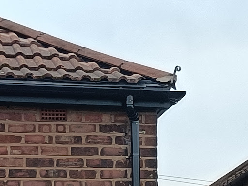 Vertex Rooflines - Thumbnail