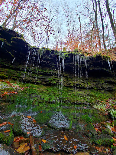 Sally Ann Hollow Quads Gallery - United States