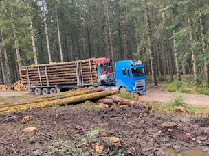 Photo n°7 de SNDT - Société Nivernaise de Débardage et de Transports à Saint-Benin-d'Azy (Service de transport)