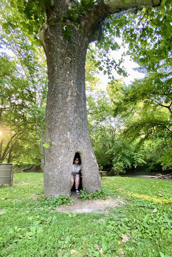Kickapoo Creek Park - Visual