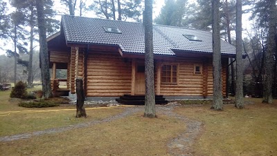 Photos of Liiko