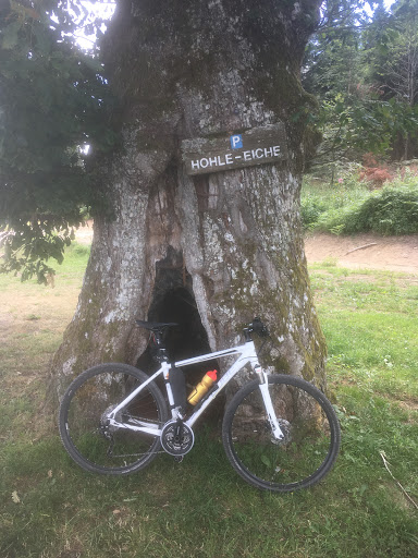 Hohle Eiche Gersbach - Thumbnail