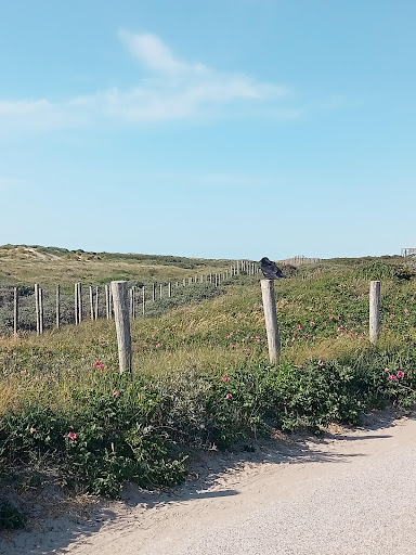 Duindorp Tweewielers - Thumbnail
