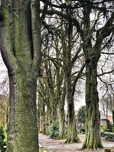 Friedhof Breyell