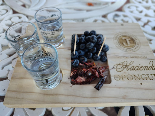 Mezcaleria Hacienda Oponguio - Thumbnail