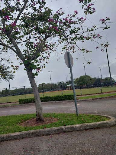 Pompano Beach Baseball Complex - Visual