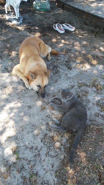 Photos of Hardee Animal Clinic
