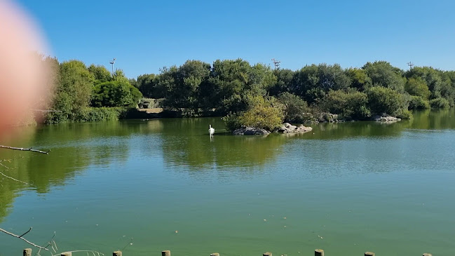Parque da Devesa - Vila Nova de Famalicão