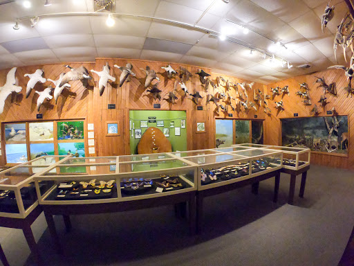 Brazosport Museum of Natural Science - Thumbnail