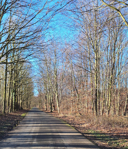 Dentgenbach - Thumbnail