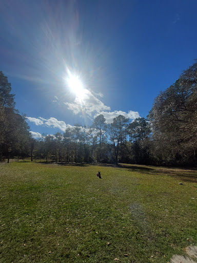 Newnans Lake Conservation Area North Tract - East Trailhead - Thumbnail