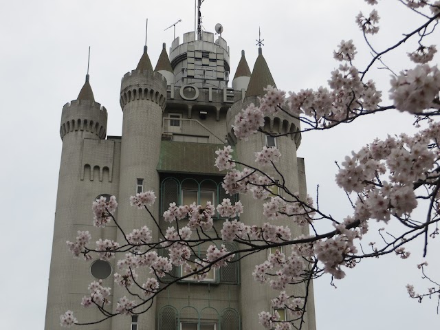 Meguro River Cherry Blossoms Promenade