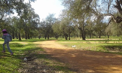 Photos of Urban Forest City Kenitra