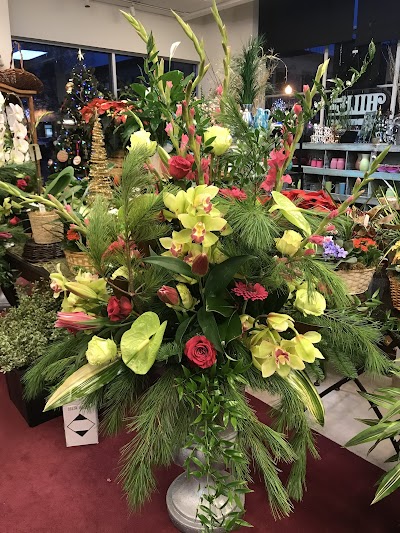 Hill Florist and Gifts