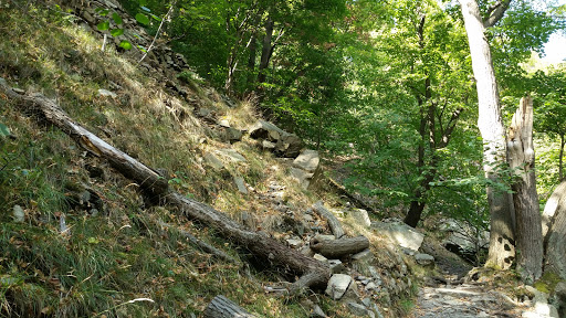 Bodetal Tourismus GmbH - Thumbnail