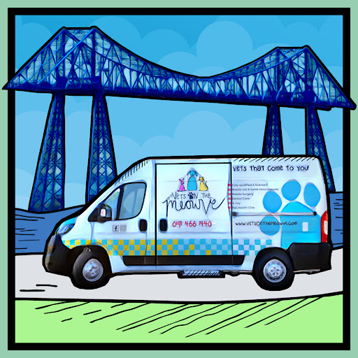 Teesside Vets On The Meowve - Thumbnail